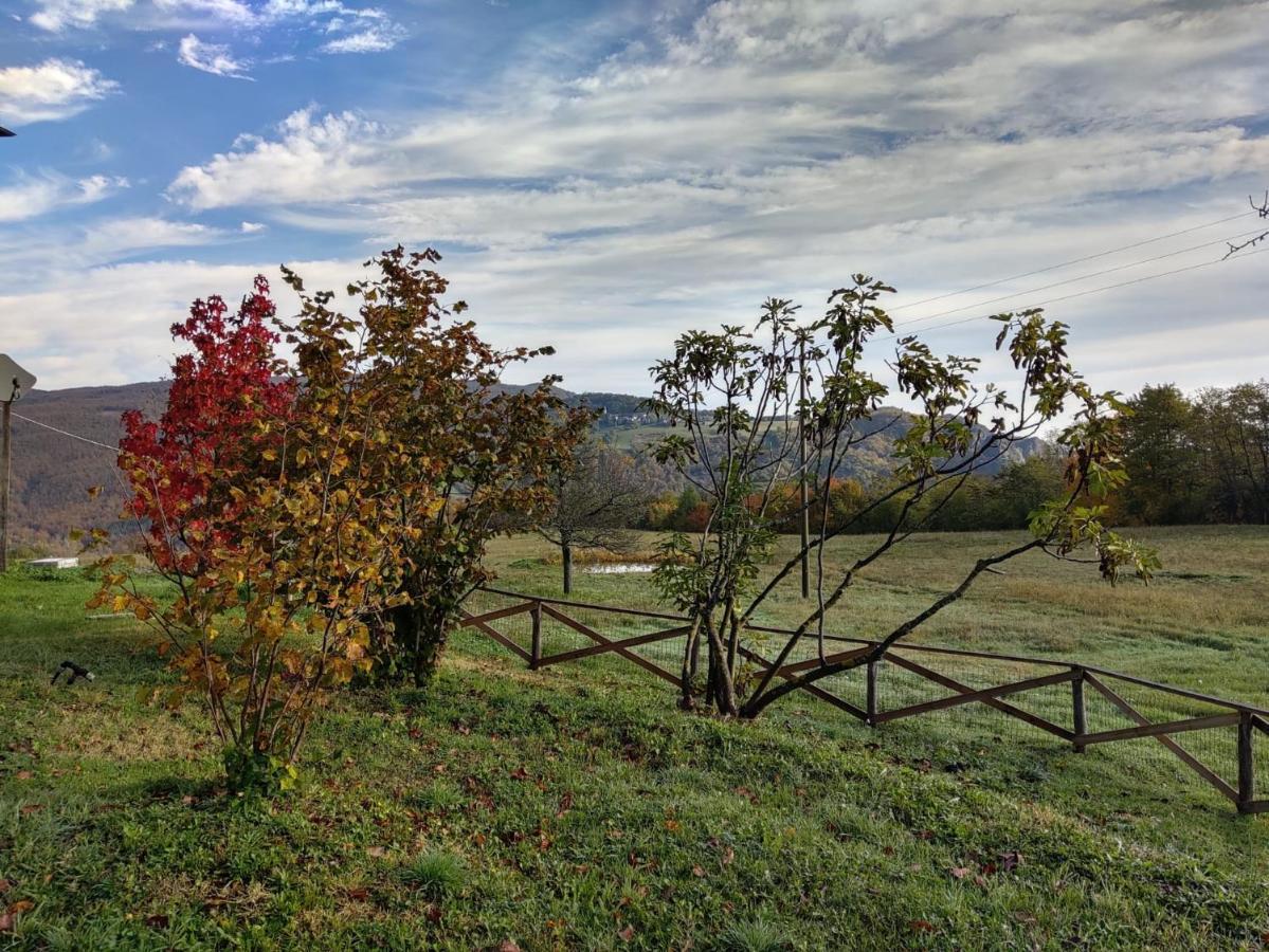 "Borgo Gerbina" Agriturismo & Azienda Agricola Sozzi 외부 사진